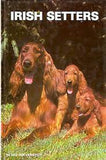 Irish setter book