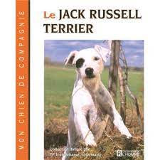 Le Jack Russell Terrier
