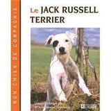 Le Jack Russell Terrier