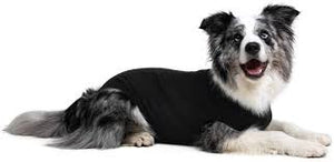 Suitical recovery suit dog medium