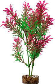 Glofish plant green/pink XLg