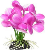 Betta Pink Orchid 6.9cm(6")