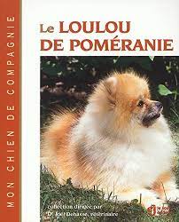 Le Loulou de Pomeranie