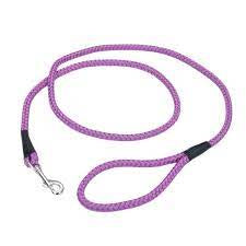 Coastal rope leash orchid 6'