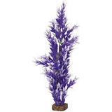 Glofish large plant purple and white