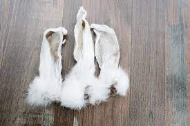 sol rabbit ears