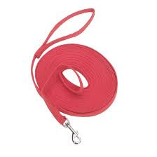 cotton web training leash 30' red