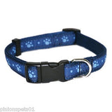 Pawz blue w/paw 16"-22"