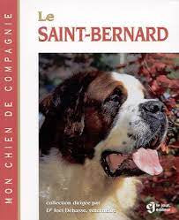 Le Saint Bernard