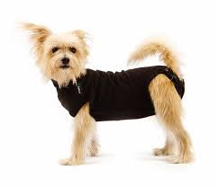Suitical recovery suit dog 3XSmall