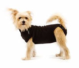 Suitical recovery suit dog 3XSmall