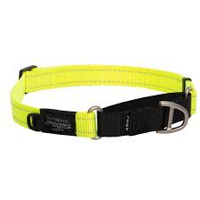 Control collar large dayglo