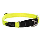 Control collar large dayglo